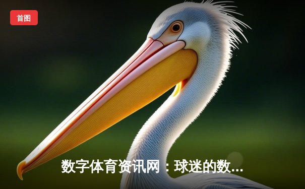 数字体育资讯网：球迷的数据战场与情感连接器